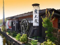 <b>多伦多大学租房有哪几种类型？</b>